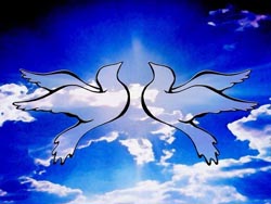 first-image-of-peace.jpg